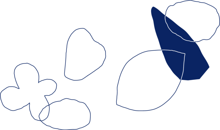 Erudit_PlanStrat_Formes_page6